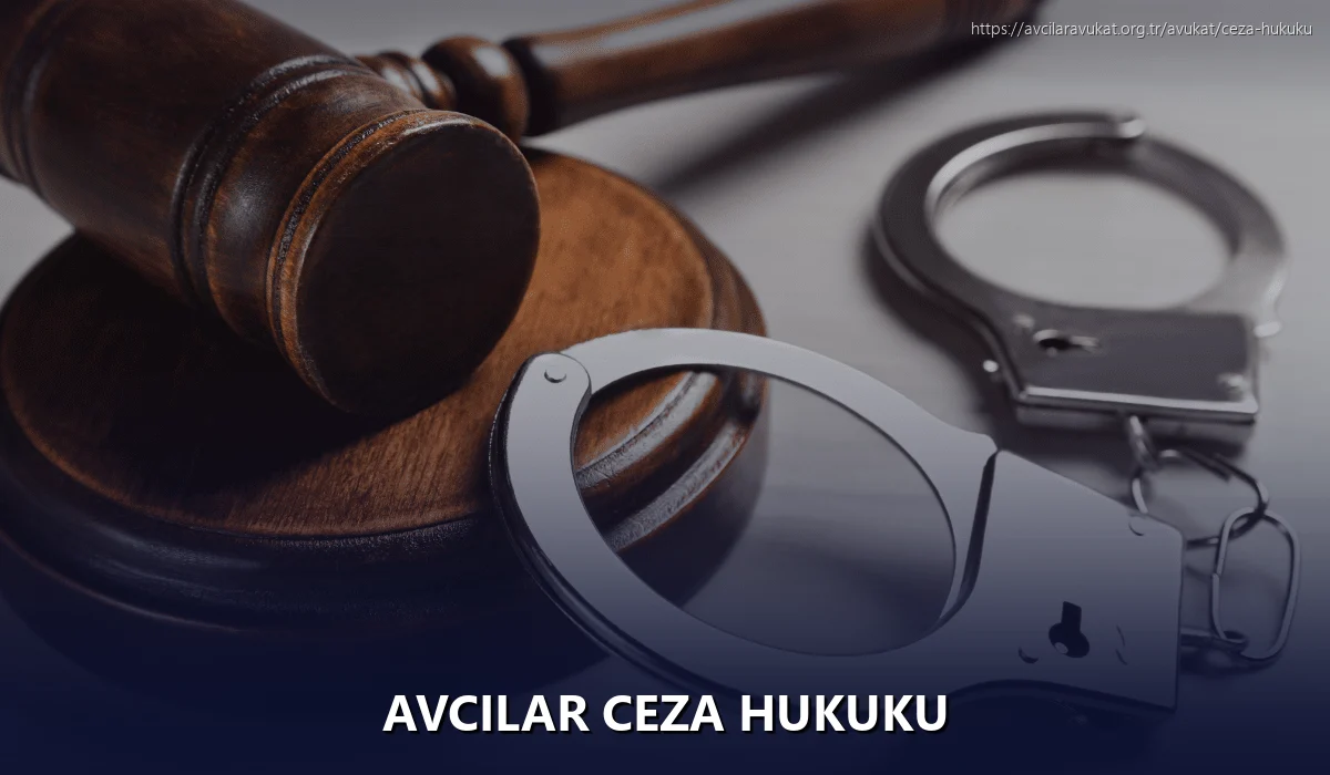 Avcilar Ceza Hukuku